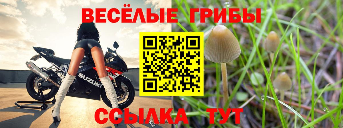 Люберцы  Галлюциногенные грибы прущие грибы  Галлюциногенные грибы Psilocybine cubensis  закладка  Вход с VPN 